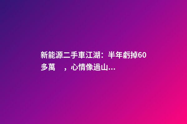 新能源二手車江湖：半年虧掉60多萬，心情像過山車